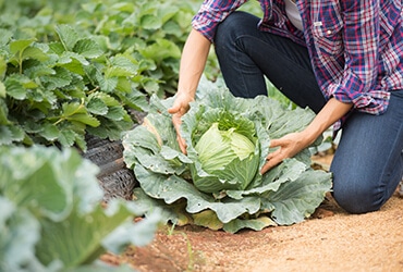 Read more about the article 7 Ways To Support Farmers Who  Bring Fresh Food For Us