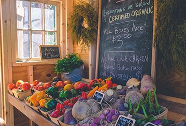 Read more about the article Going An Extra Mile For Organic  With Biodynamic Farming
