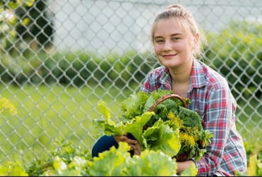 Read more about the article Supercharge Your Immune System  With Fresh Vegetables