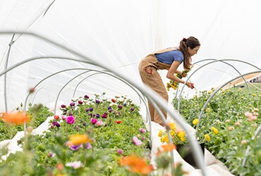 Read more about the article Protecting Crops With Natural  Techniques Instead Of Pesticides