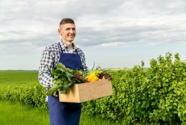 Read more about the article Protecting Crops With Natural  Techniques Instead Of Pesticides