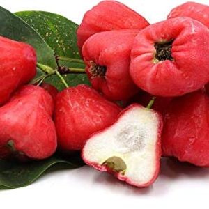 Rose apple (per kg)