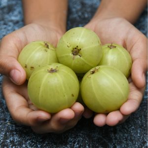 Gooseberry (per kg)