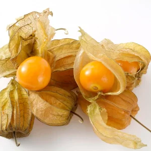 Physalis (per kg)