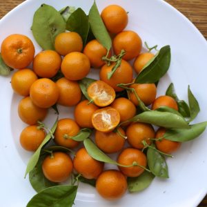 Kumquat (per kg)