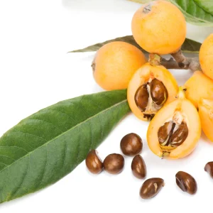 Loquat (per kg)