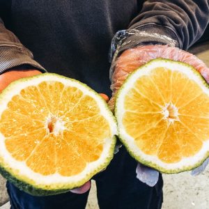 Ugli fruit (each)