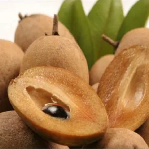 Sapodilla (per kg)