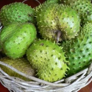 Soursop (per kg)