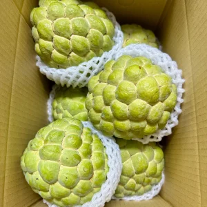 Custard apple (each)