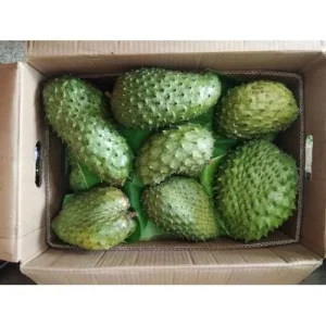 Soursop (per kg)