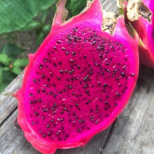 Pitahaya (each)