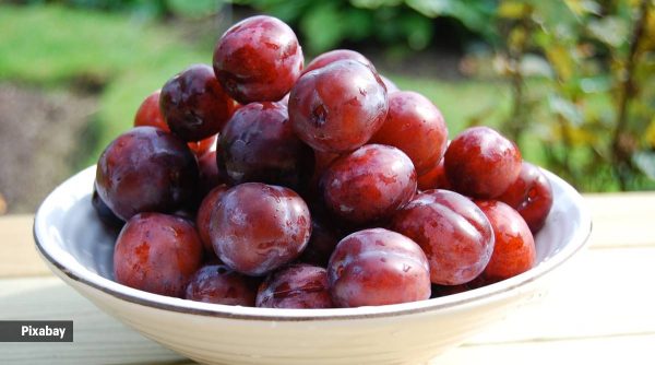 Plums (per kg) - Image 3