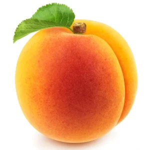Apricot