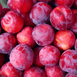 Plum