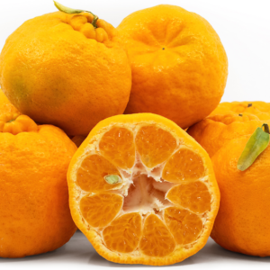 Ugli Fruit